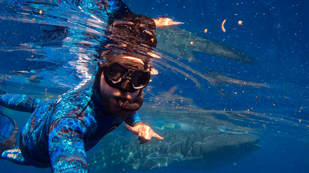 Snorkeler exploring clear tropical waters